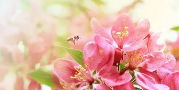 生活簡(jiǎn)單美好的句子生活美好的說(shuō)說(shuō),生活簡(jiǎn)單美好的句子,拿去發(fā)朋友圈吧,田園生活簡(jiǎn)單美好的句子