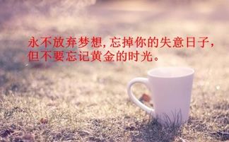 晚上工作心態(tài)正能量句子