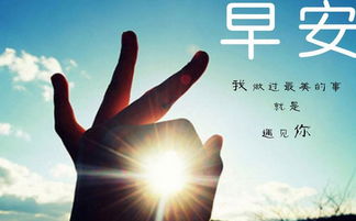 句子,能量,感謝,客戶(hù)