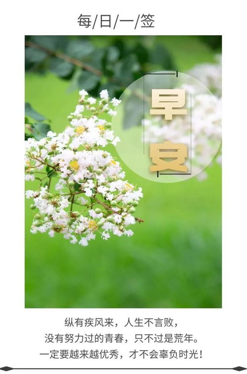 正能量短句男人霸氣句子