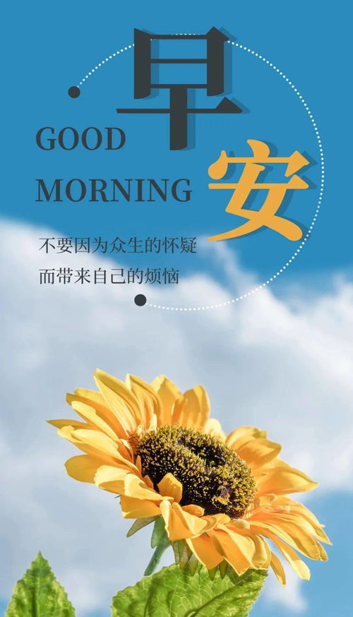 新的一天新的希望正能量的句子,新的一天滿(mǎn)滿(mǎn)的正能量的句子,新的一天充滿(mǎn)陽(yáng)光正能量的句子