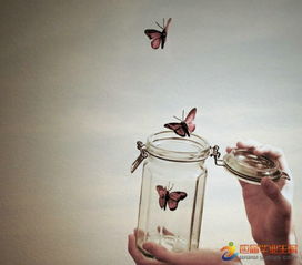 句子,能量,做好,工作