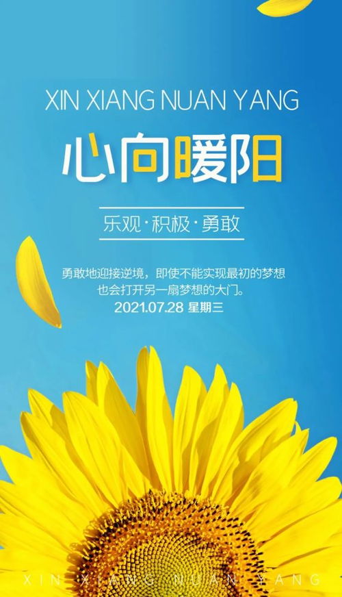 新的一天新的希望正能量的句子,新的一天充滿(mǎn)陽(yáng)光正能量的句子,新的一天新的開(kāi)始正能量句子