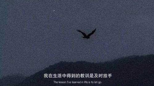 句子,能量,充滿(mǎn),晚上