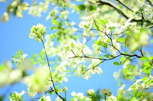 句子,唯美,能量,女生