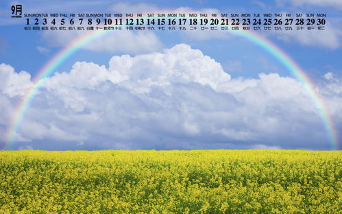 追星彩虹的正能量句子