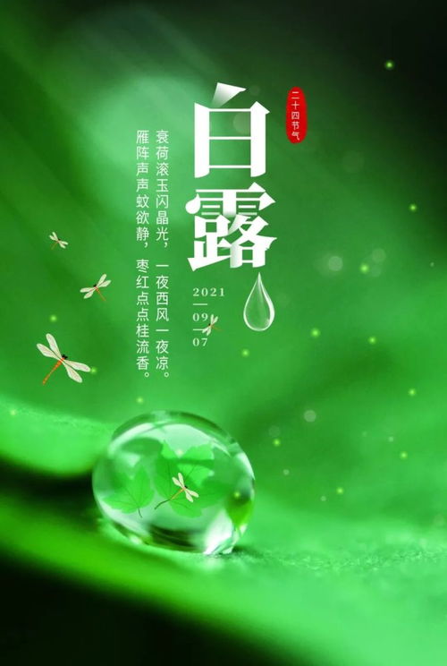 女人陽(yáng)光自信的句子正能量,迎著(zhù)陽(yáng)光的正能量句子,生活陽(yáng)光正能量的句子