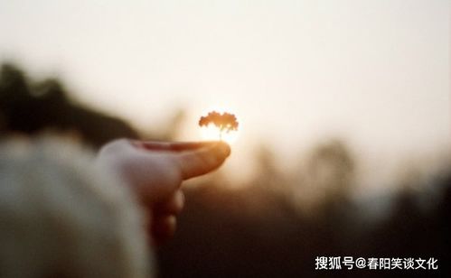 藥的正能量句子