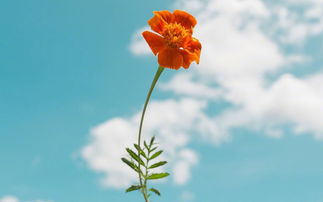 遠離小人的正能量句子