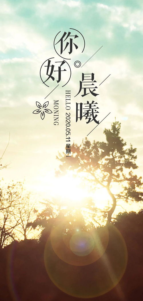 十一月的正能量的句子