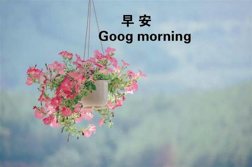 句子,朋友圈,滿(mǎn)滿(mǎn),能量