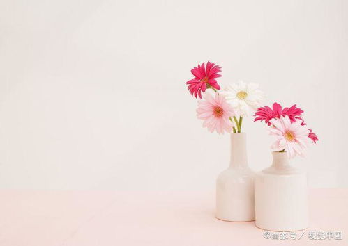 樂(lè )觀(guān)心態(tài)工作的正能量句子,生活樂(lè )觀(guān)心態(tài)的正能量句子,樂(lè )觀(guān)心態(tài)的正能量句子簡(jiǎn)短