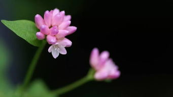 早上正能量滿(mǎn)滿(mǎn)的朋友圈的句子簡(jiǎn)單,早安正能量滿(mǎn)滿(mǎn)的句子朋友圈,早安勵志正能量滿(mǎn)滿(mǎn)的句子朋友圈