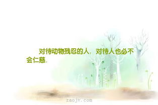 句子,災難,能量,面對