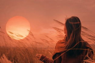 學(xué)生遵守紀律的句子,關(guān)于遵守紀律嚴于律己的句子,遵守紀律的優(yōu)美句子