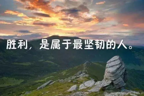 毫無(wú)意義的社交正能量句子,關(guān)于堅持的正能量句子,懂得感恩的正能量句子
