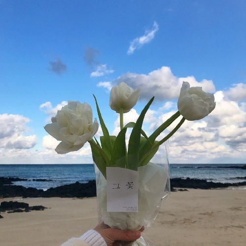 晚上發(fā)圈的句子正能量和