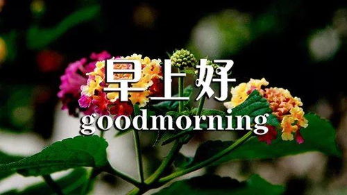 句子,養生,早上好,能量