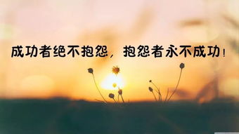 正能量情感勵志句子唯美,女性勵志句子唯美簡(jiǎn)短正能量,唯美正能量句子勵志短句子