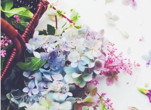 正能量可愛(ài)小句子簡(jiǎn)短