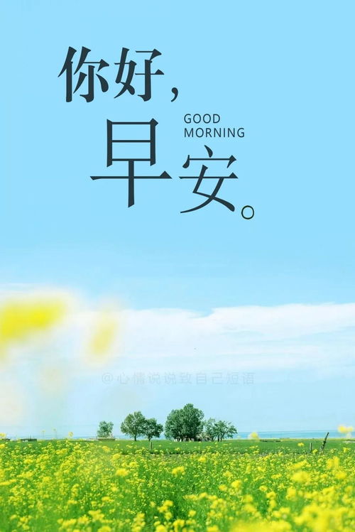 短語(yǔ),句子,能量,溫暖