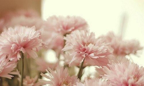 句子,拼搏,滿(mǎn)滿(mǎn),能量