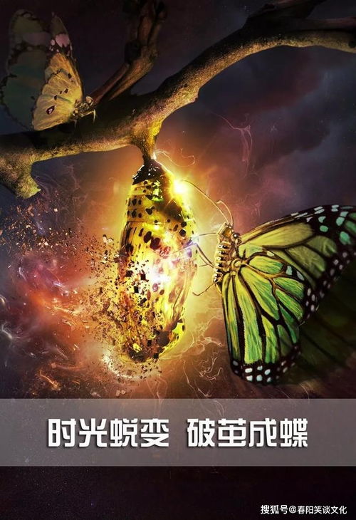 致青春正能量的句子,積極向上的句子青春正能量生活,關(guān)于堅持的正能量句子勵志簡(jiǎn)短