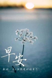 早安,簡(jiǎn)短,句子,勵志