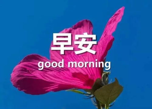 關(guān)于珍惜的正能量句子,珍惜每一天正能量句子,珍惜相愛(ài)正能量句子