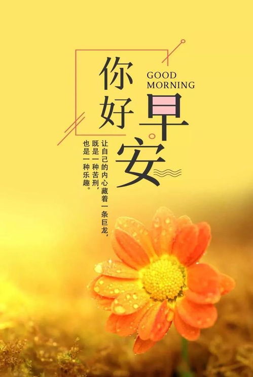 志愿者正能量的句子經(jīng)典語(yǔ)句,追星正能量的句子經(jīng)典語(yǔ)句,警察正能量的句子經(jīng)典語(yǔ)句