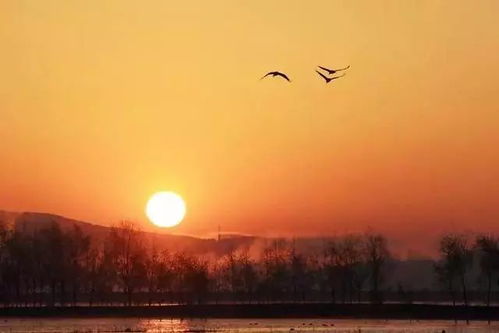 正能量的人生知己句子簡(jiǎn)短