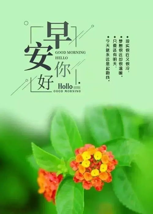 努力奮斗早安正能量的句子簡(jiǎn)單,努力奮斗早安正能量問(wèn)候語(yǔ)的句子,早安努力奮斗正能量句子勵志