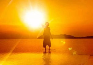 陽(yáng)光勵志正能量的句子,心向陽(yáng)光正能量的句子,積極陽(yáng)光正能量的句子