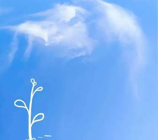 句子,能量,美好,簡(jiǎn)單