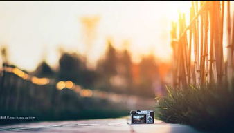 句子,掙錢(qián),不易,能量