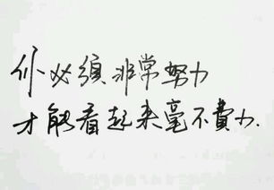 短語(yǔ),句子,勵志,能量