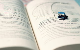 工作正能量感悟及心得體會(huì ),簡(jiǎn)短工作心得體會(huì )句子,對工作的感悟心得體會(huì )的句子