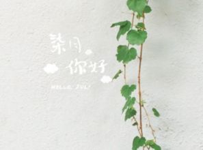 告別負能量迎接正能量的句子