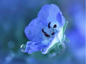 谷雨正能量句子,雨天幽默正能量的句子,正能量滿(mǎn)滿(mǎn)的勵志句子