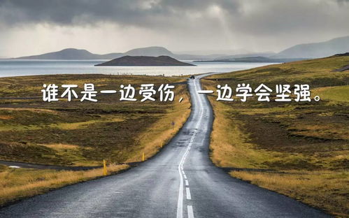 養護,句子,能量,道路