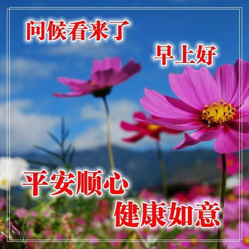 句子,能量,精點(diǎn)正
