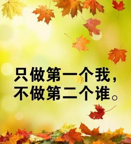 女人獨立正能量的句子經(jīng)典語(yǔ)句,女人正能量的句子經(jīng)典語(yǔ)句,女人勵志正能量的句子經(jīng)典短文