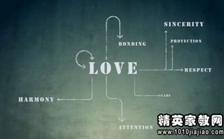 情感正能量唯美句子