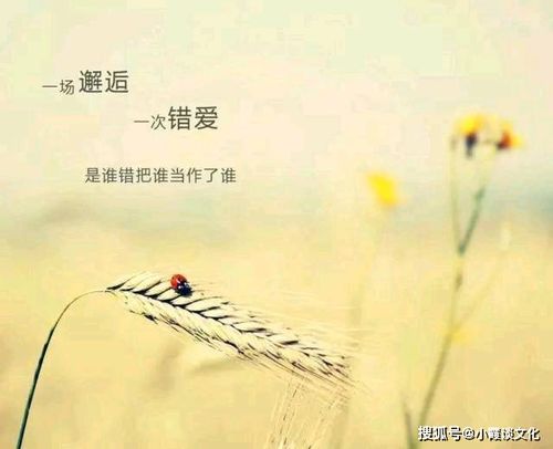 句子,朋友圈,能量,陽(yáng)光