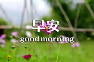 短句,早安,句子,勵志