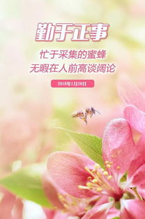 早上好有正能量的句子