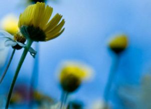 上進(jìn),句子,能量,學(xué)習