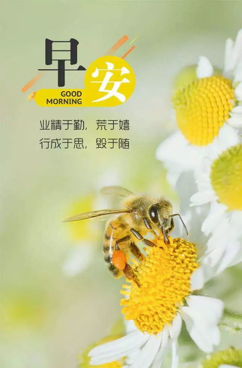 每日早安簡(jiǎn)短句子正能量