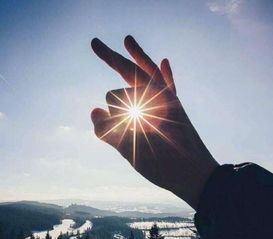 關(guān)于不努力就被淘汰的正能量句子