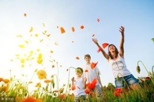 句子,表?yè)P,能量,學(xué)生